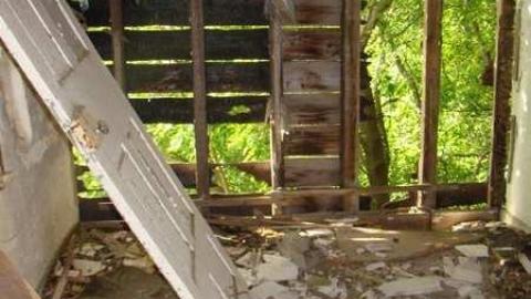 Hidden in the Bush - Cold-Rain35.jpg