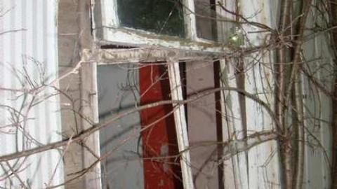 Hidden in the Bush - Cold-Rain36.jpg