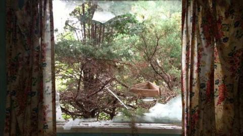 Vulgar on Floral - Hurontario-Street23.jpg