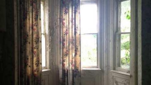 Vulgar on Floral - Hurontario-Street25.jpg