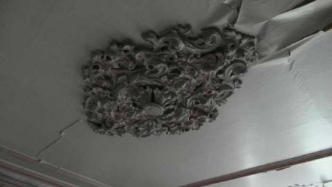 Vulgar on Floral - Hurontario-Street26.jpg