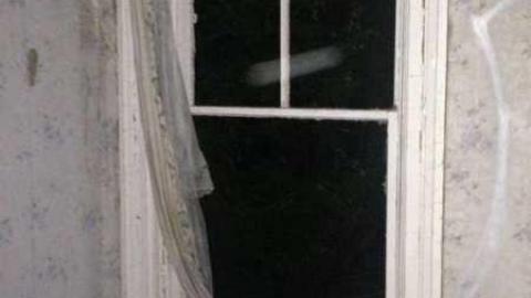 Vulgar on Floral - Hurontario-Street102.jpg