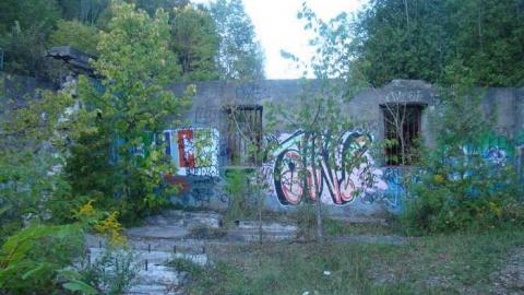 Cataract Falls Ruins  - Churchs-Falls-Old-Mill102.jpg