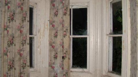 Wallpaper Forever - Hurontario-Street121.jpg