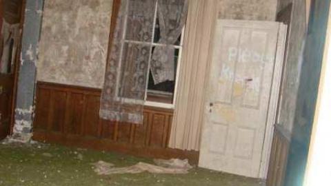 Wallpaper Forever - Hurontario-Street140.jpg