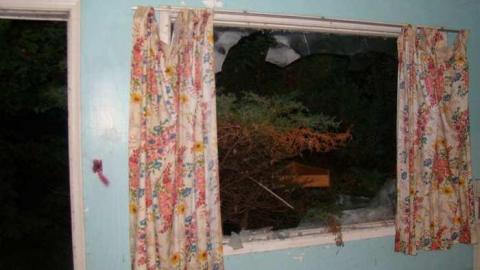 Wallpaper Forever - Hurontario-Street123.jpg