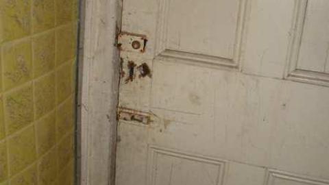 Wallpaper Forever - Hurontario-Street124.jpg