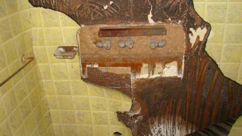 Wallpaper Forever - Hurontario-Street142.jpg