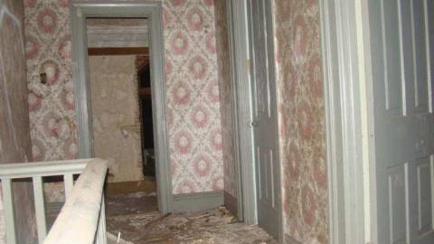 Photo from Wallpaper Forever