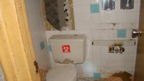 Wallpaper Forever - Hurontario-Street130.jpg