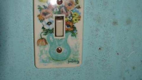 Wallpaper Forever - Hurontario-Street131.jpg