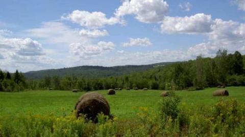 Letterkenny Ghost Town photo 4
