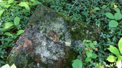 Old Southampton Cemetary, Ont. - Old-Southampton-Cemetery7.jpg