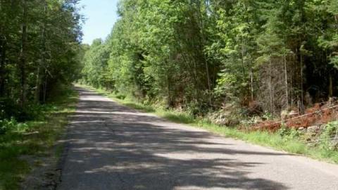 Letterkenny Ghost Town photo 5