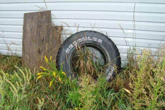 Small Odessa Building photo 3