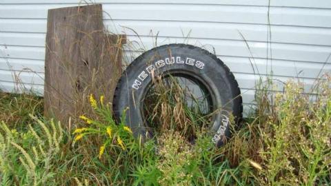 September 10th 2013 - Small-Odessa-Building18.jpg