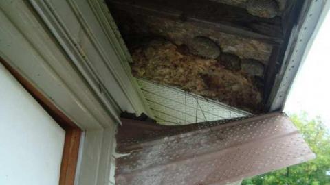 Small Odessa Building photo 4