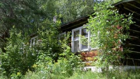 Breast implants tree - Letterkenny-ghost-town7.jpg