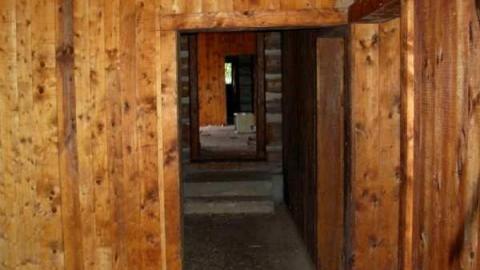 Breast implants tree - Letterkenny-ghost-town8.jpg