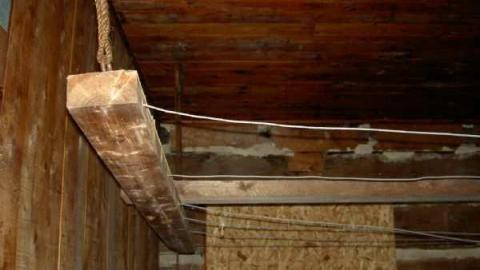 Breast implants tree - Letterkenny-ghost-town14.jpg