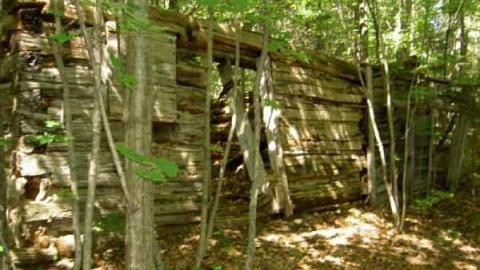 Breast implants tree - Letterkenny-ghost-town15.jpg