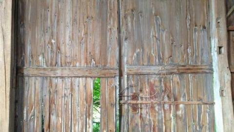 Vulgar on Floral - Hurontario-Street21.jpg