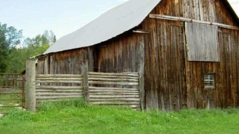 Rocking Ham Baby - Rockingham-(ghost-town)13.jpg