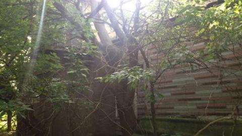 9/9/13 - Cold-Rain38.jpg