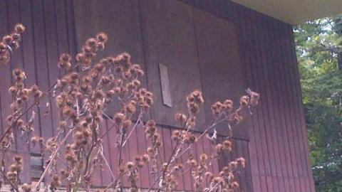 Empty House on 3rd photo 5