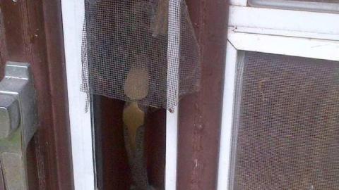 Sept. 13/2013 Visit - Empty-House-on-3rd3.jpg