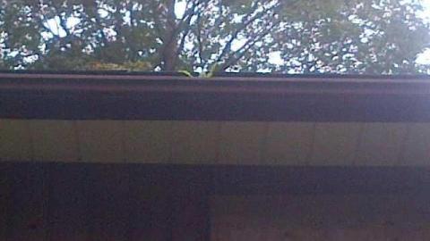 Sept. 13/2013 Visit - Empty-House-on-3rd11.jpg