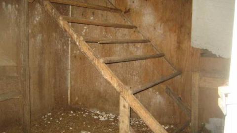 Kelley's Chicken - Runway-Rundown74.jpg