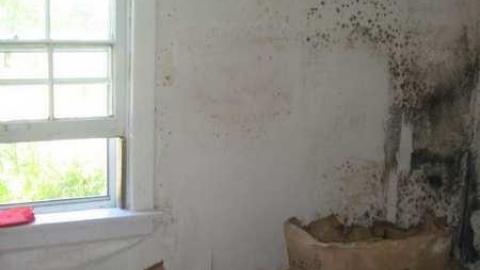 Nobleton House - Empty-House-Nobleton2.jpg