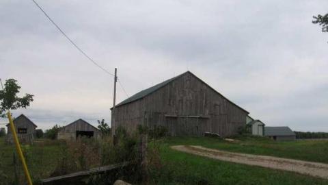 Farmed out in Chesley  - Farmed-Out-in-Chesley7.jpg