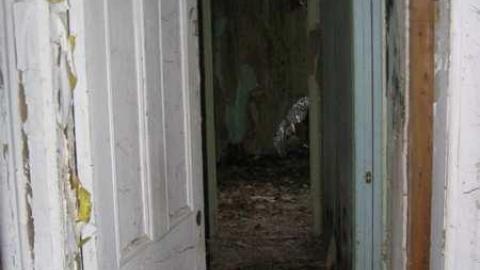 Farmed out in Chesley  - Farmed-Out-in-Chesley11.jpg