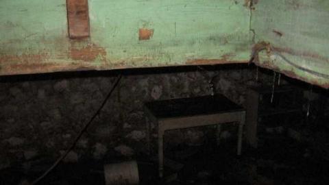 Farmed out in Chesley  - Farmed-Out-in-Chesley13.jpg