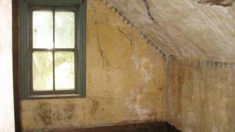 Farmed out in Chesley  - Farmed-Out-in-Chesley22.jpg