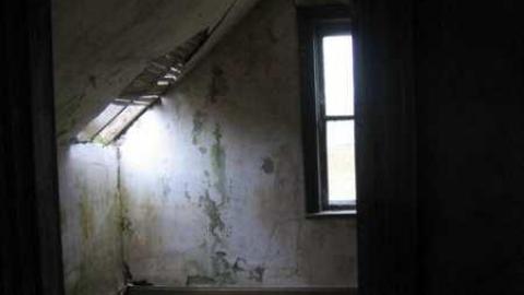 Farmed out in Chesley  - Farmed-Out-in-Chesley23.jpg