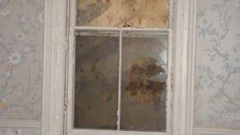 Dangerous Crawl - John-Leary-House24.jpg