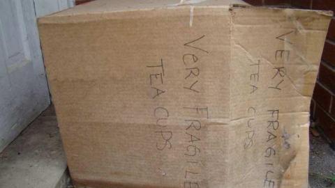 Pristine On King - Take-a-Hike-Vandals3.jpg