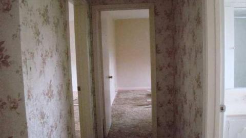 Pristine On King - Take-a-Hike-Vandals12.jpg