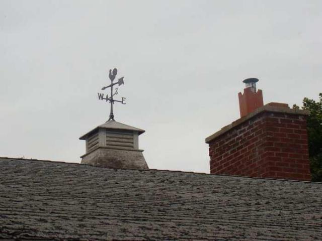 Take a Hike Vandals photo 3