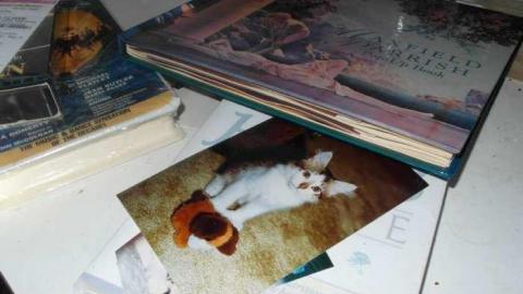 9/15/13, 9/16/13 - Abandoned-Cat-Lady-House219.jpg