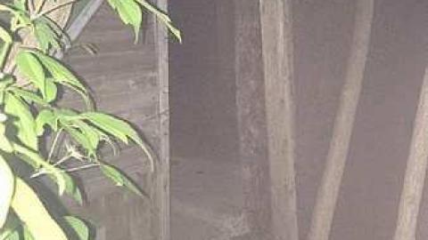 9/13/13 - Non-Chalaunt36.jpg