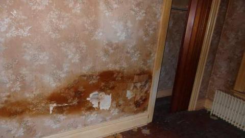 9/13/13 - Non-Chalaunt20.jpg