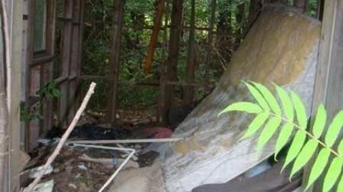 No Decent POE :( - Ericas-Place59.jpg