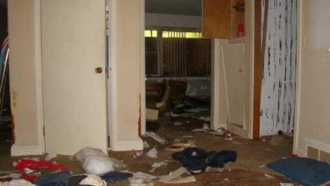 No Decent POE :( - Ericas-Place65.jpg