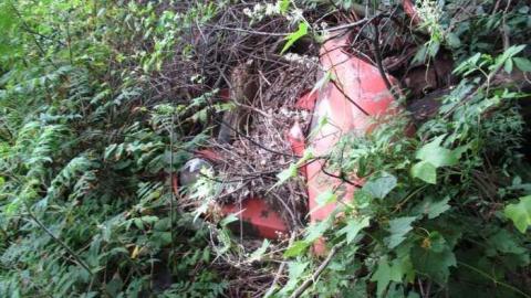 sept 2013 - The-Works-Eagle5.jpg