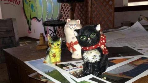 9/15/13, 9/16/13 - Abandoned-Cat-Lady-House305.jpg