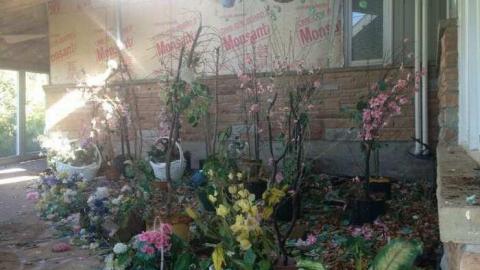 9/15/13, 9/16/13 - Abandoned-Cat-Lady-House306.jpg